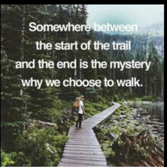 🧸 Heating Pad  MOIST / DRY Conair NIB - Picture 14 of 16